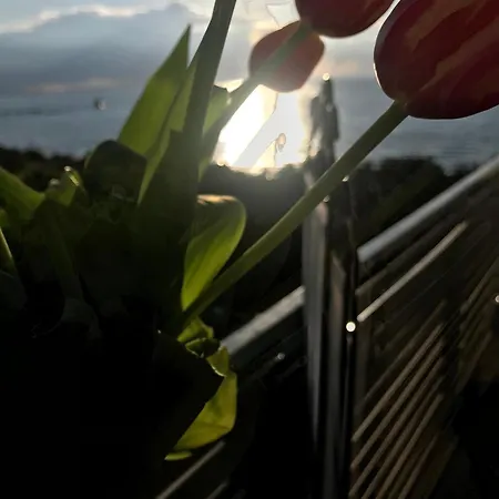 Apartmán Mm Luxus Meerblick 3 Personen